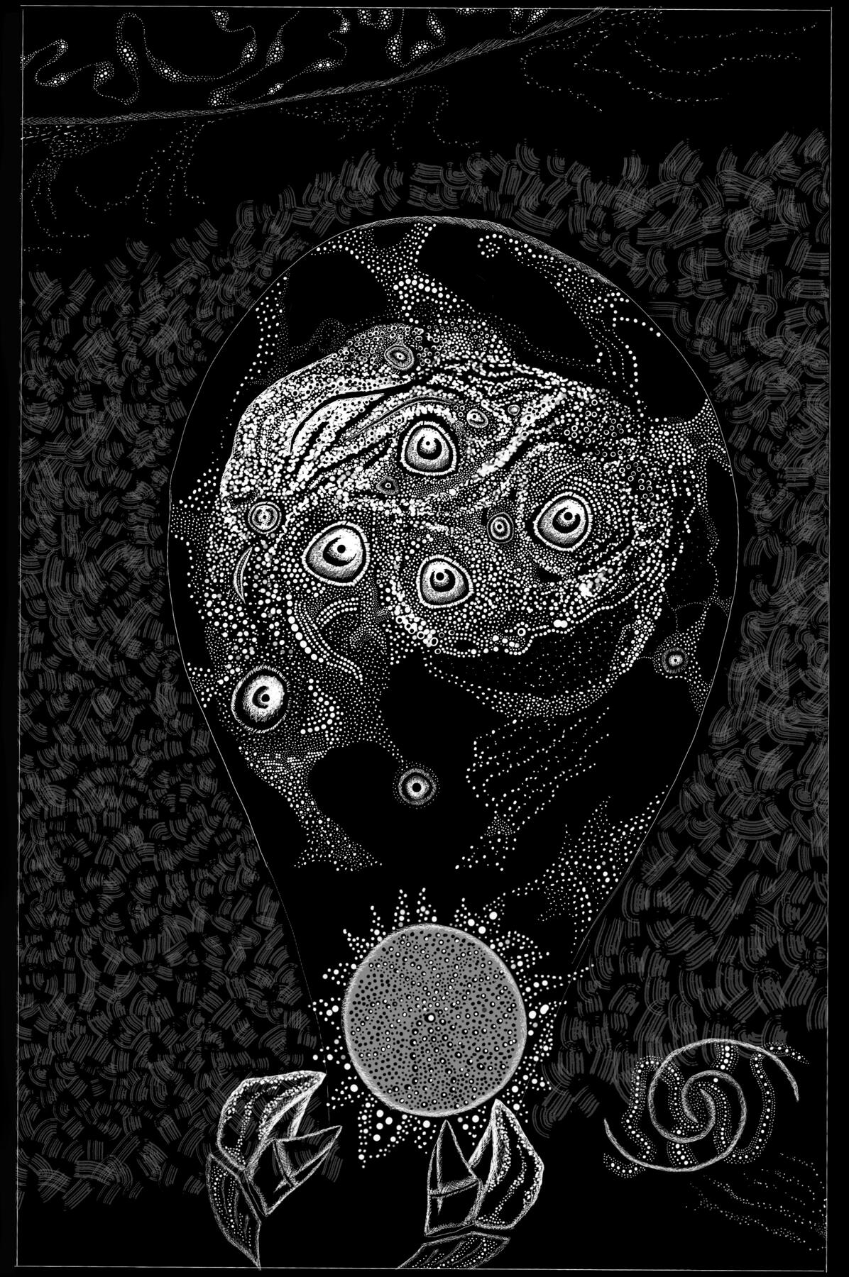 the navigator